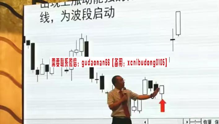 博股弘历投教赵伟2023春季周期结构全系统视频课程